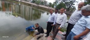 কুমিল্লা আদালত অঙ্গনের নান্দনিক পুকুরে বিভিন্ন প্রজাতির মাছের পোনা অবমুক্ত