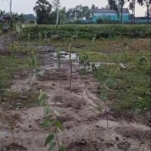 মহাদেবপুরে মাদ্রাসার পথ অবরোধের অভিযোগ, ইউএনও বরাবর আবেদন